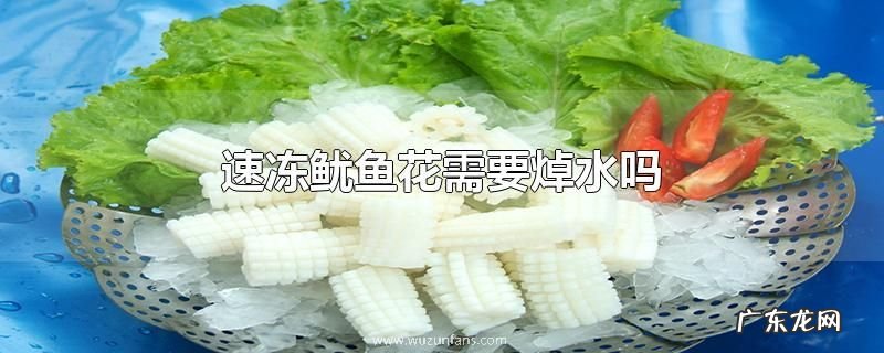 速冻鱿鱼花需要焯水吗