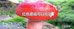 红色蘑菇可以吃吗