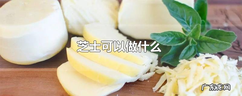 芝士可以做什么