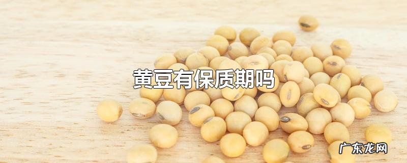 黄豆有保质期吗