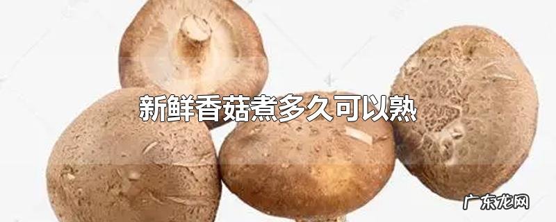 新鲜香菇煮多久可以熟