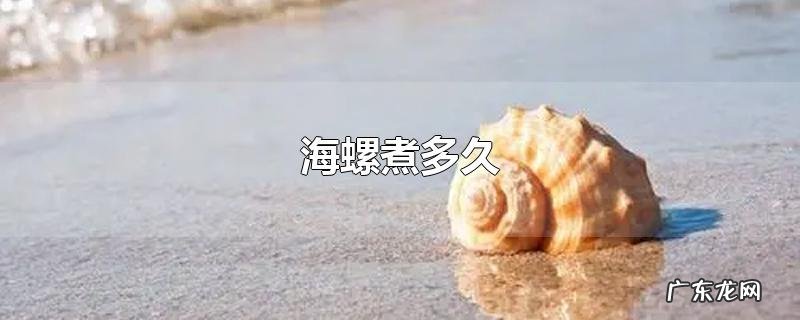 海螺煮多久