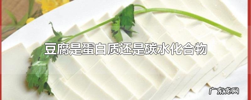 豆腐是蛋白质还是碳水化合物