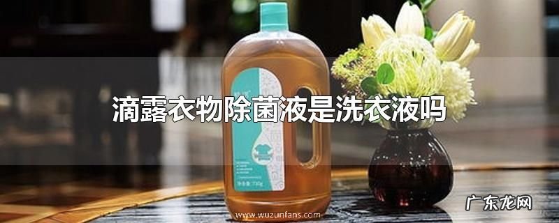 滴露衣物除菌液是洗衣液吗