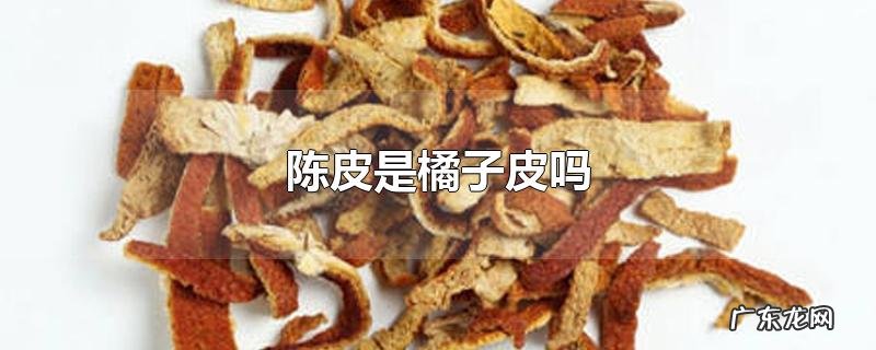 陈皮是橘子皮吗