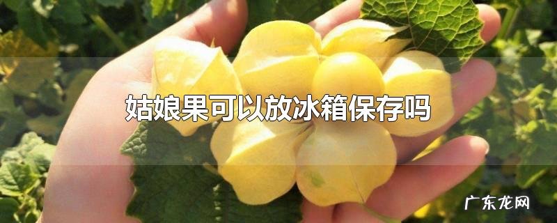 姑娘果可以放冰箱保存吗