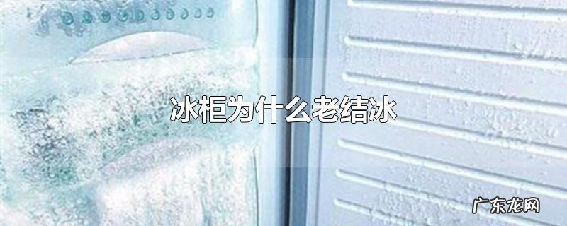冰柜为什么老结冰