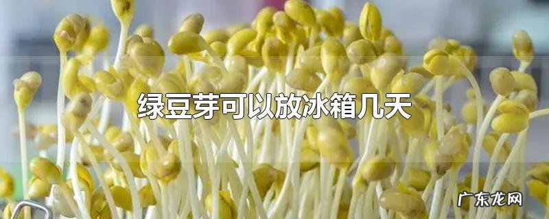 绿豆芽可以放冰箱几天