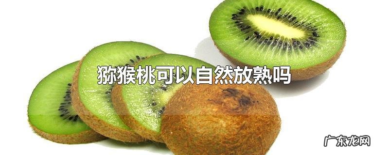 猕猴桃可以自然放熟吗