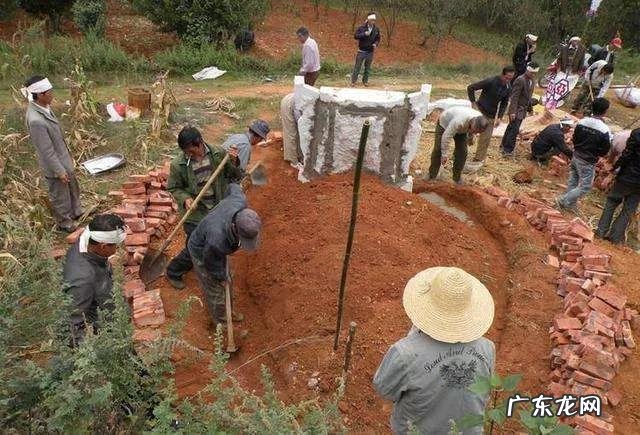 芝芙草拔 风水宝地的草平时可以拔吗