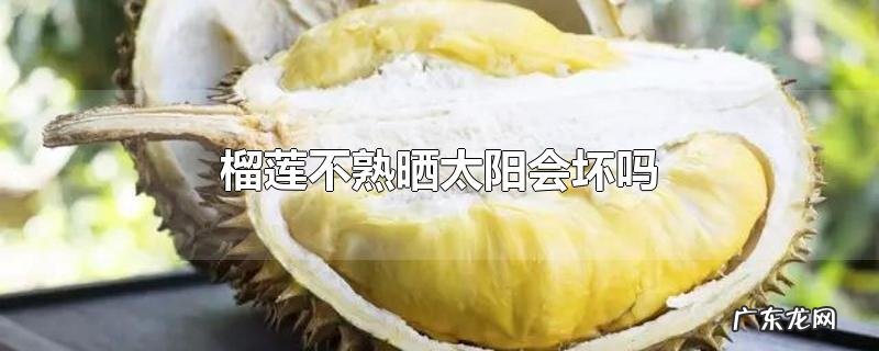 榴莲不熟晒太阳会坏吗