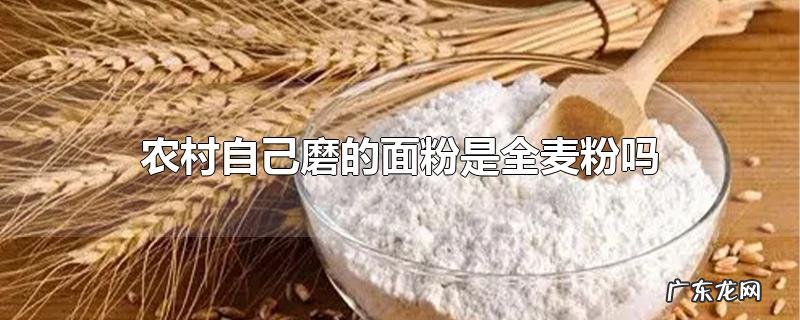农村自己磨的面粉是全麦粉吗