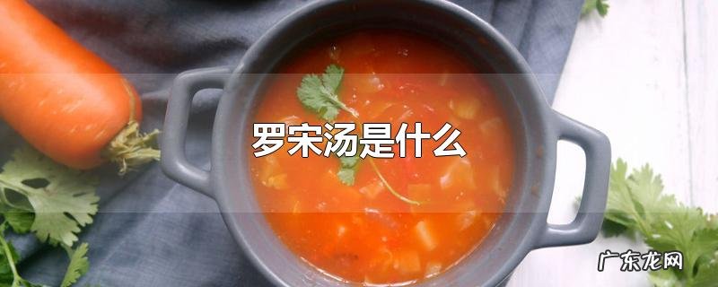 罗宋汤是什么