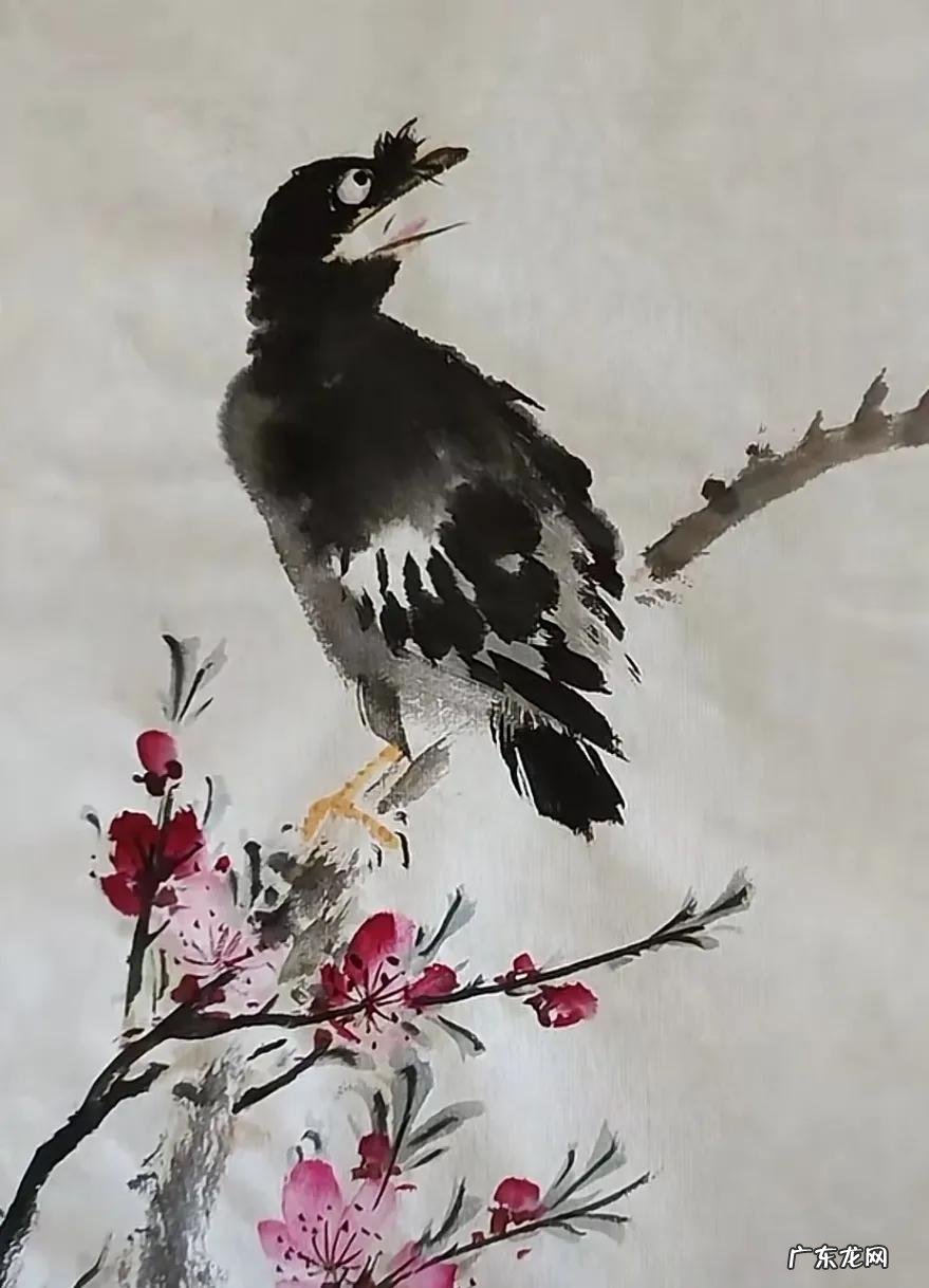 蛞蝓到家风水 鹩哥到家的风水