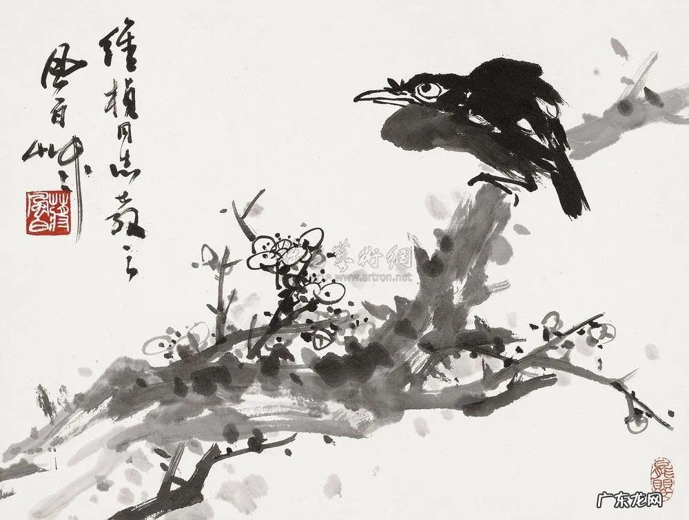 蛞蝓到家风水 鹩哥到家的风水