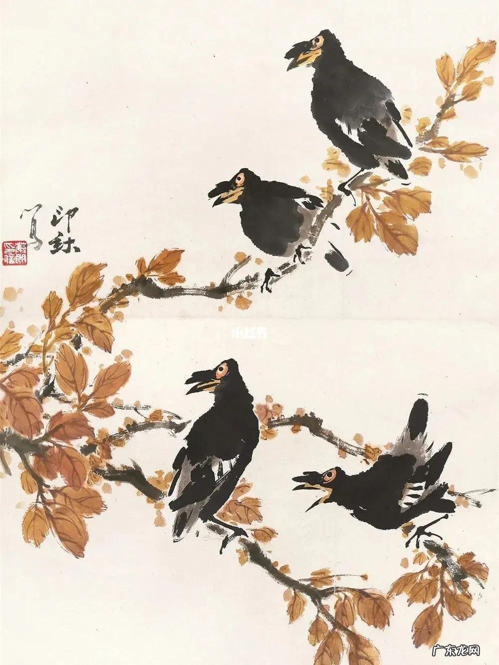 蛞蝓到家风水 鹩哥到家的风水