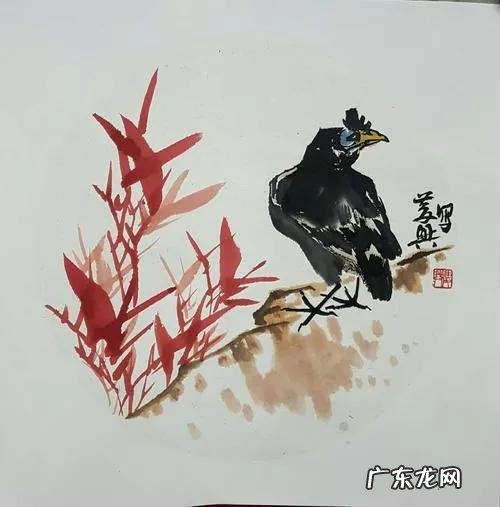 蛞蝓到家风水 鹩哥到家的风水