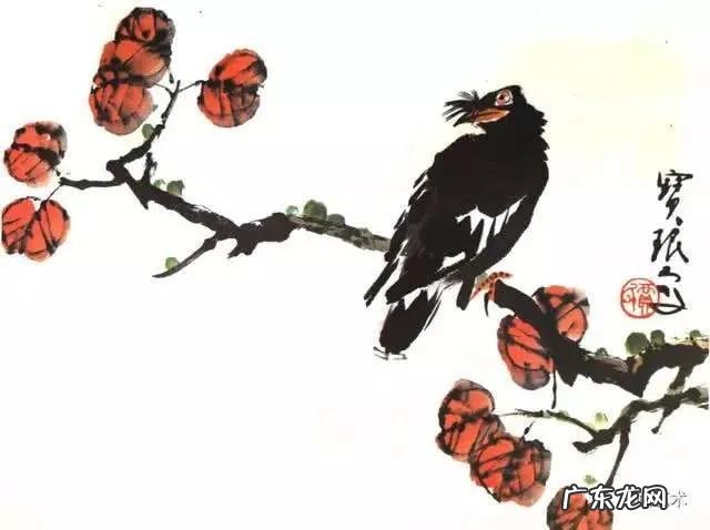 蛞蝓到家风水 鹩哥到家的风水