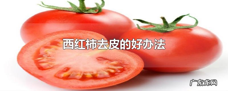 西红柿去皮的好办法