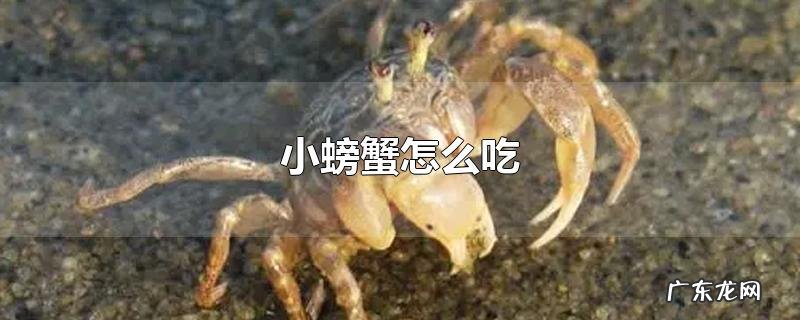 小螃蟹怎么吃