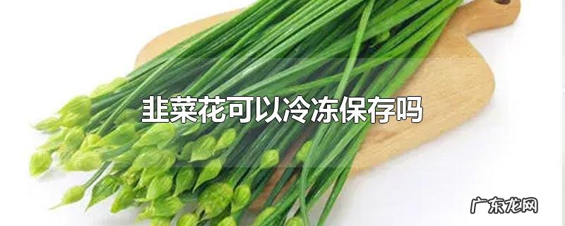 韭菜花可以冷冻保存吗
