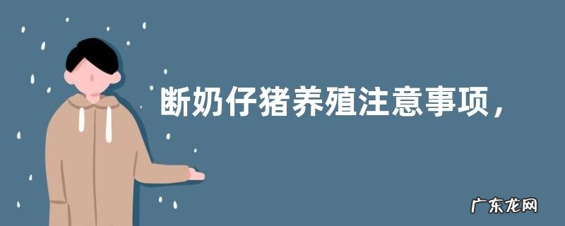 断奶仔猪养殖注意事项,附饲喂方法