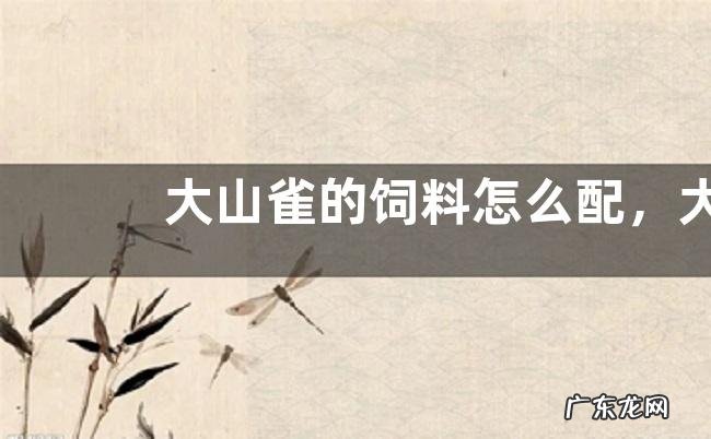 大山雀的饲料怎么配,大山雀是什么动物