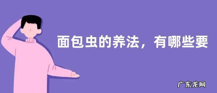 面包虫的养法,有哪些要点