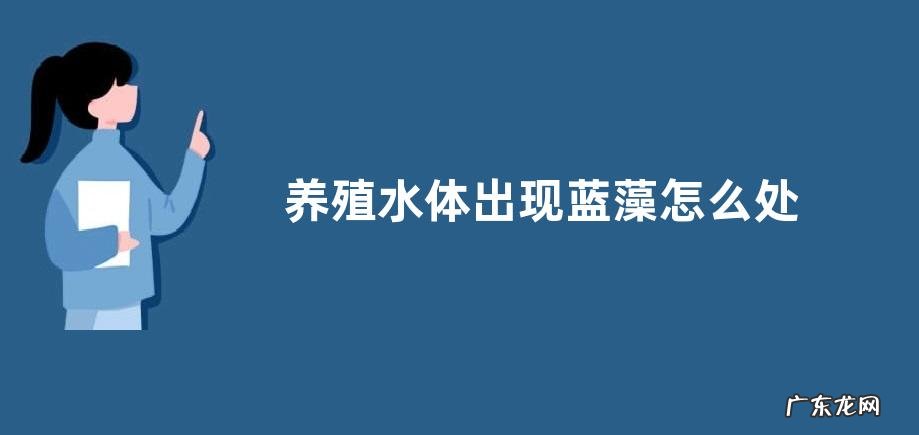 养殖水体出现蓝藻怎么处理,为什么池塘容易爆发蓝藻