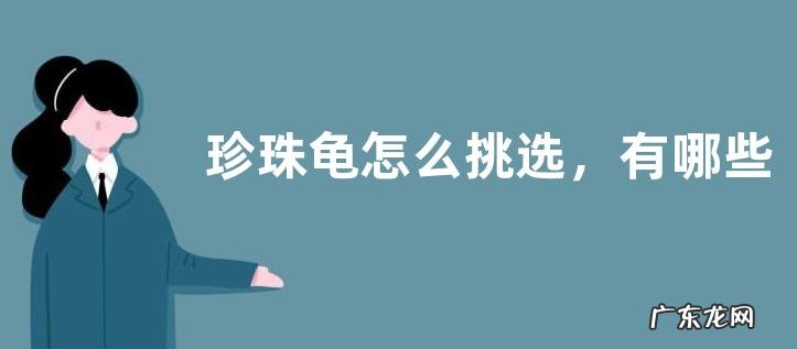 珍珠龟怎么挑选,有哪些养殖方法