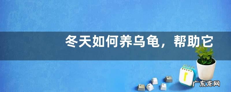 冬天如何养乌龟,帮助它们冬眠的方法有哪些