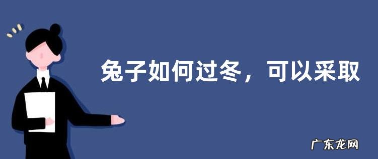 兔子如何过冬,可以采取哪些措施
