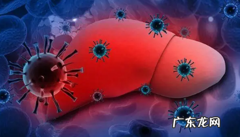 肝不好吃什么调理最好