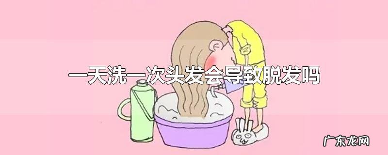 一天洗一次头发会导致脱发吗