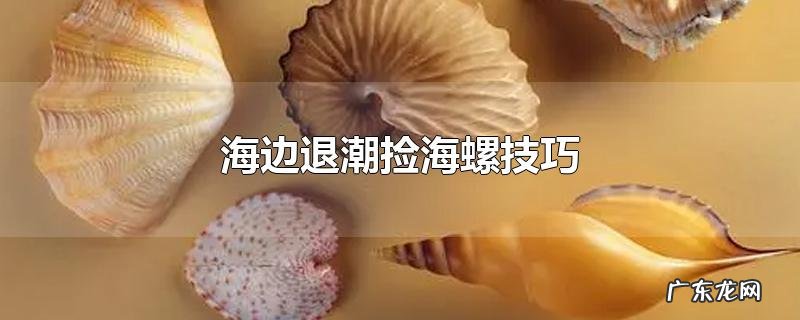 海边退潮捡海螺技巧