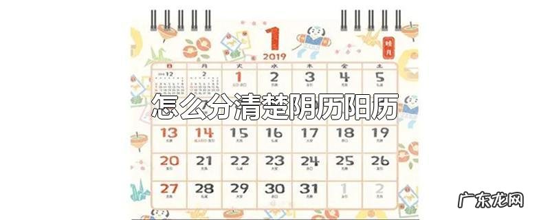 怎么分清楚阴历阳历