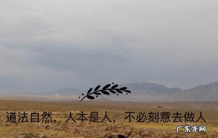 清道夫的风水作用