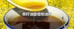 菜籽油是植物油吗