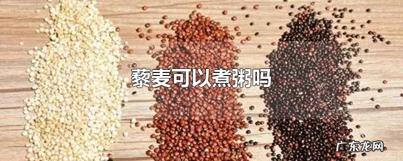 藜麦可以煮粥吗