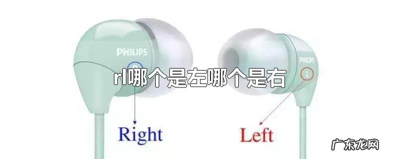 rl哪个是左哪个是右