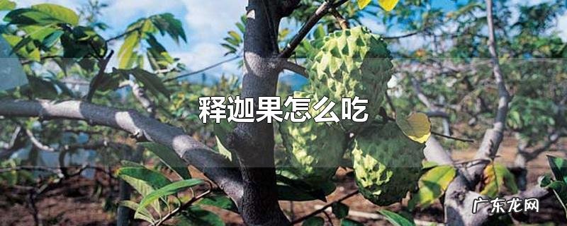 释迦果怎么吃