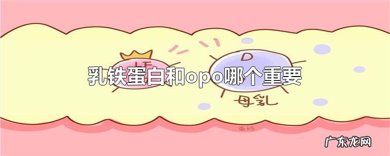 乳铁蛋白和opo哪个重要