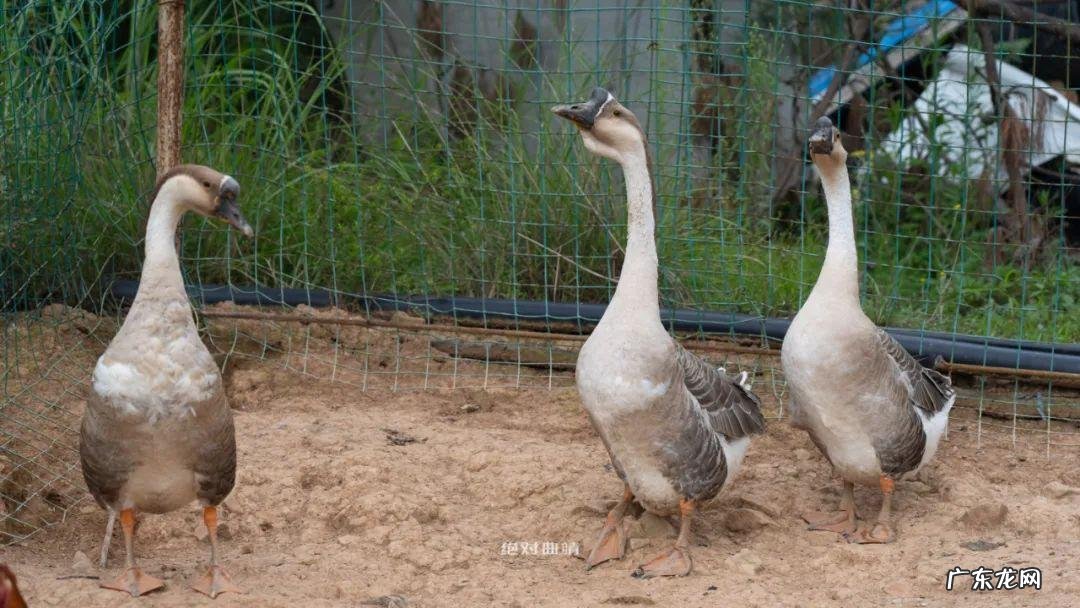 曲靖风水最好的地方 曲靖哪里的风水最好啊