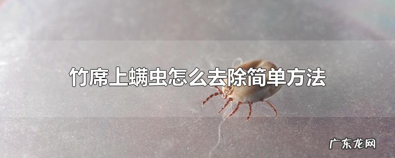 竹席上螨虫怎么去除简单方法