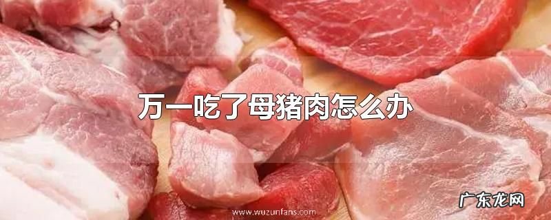 万一吃了母猪肉怎么办