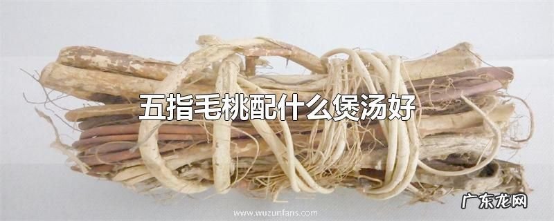 五指毛桃配什么煲汤好