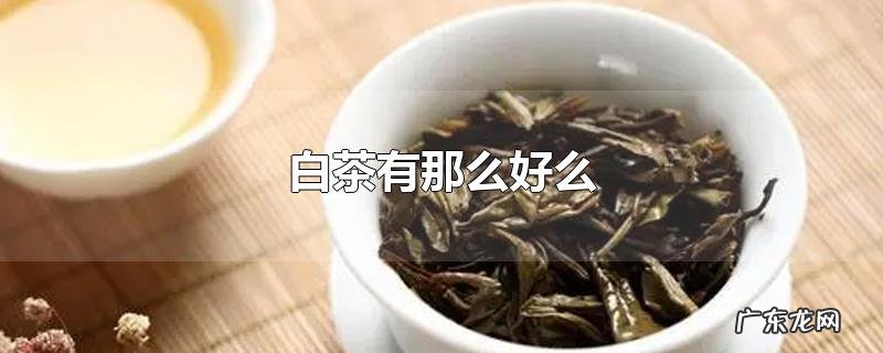 白茶有那么好么