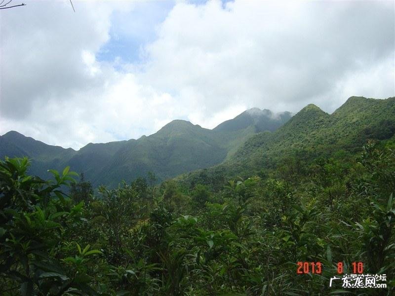 广西天鹅的风水