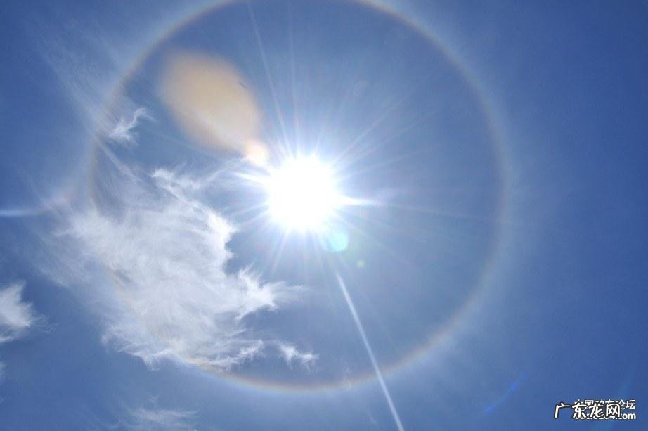 广西天鹅的风水