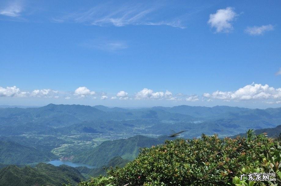 广西天鹅的风水